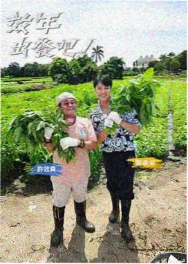 奔跑吧 原来的神马免费电影